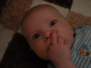 1923873_20194113793_8743_n